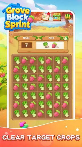 Fruit and vegetables in a Grove Block Sprint level